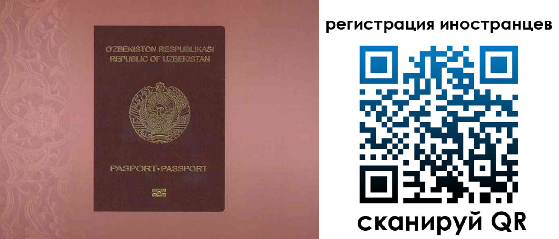 временная регистрация госуслуги в Челябинской области